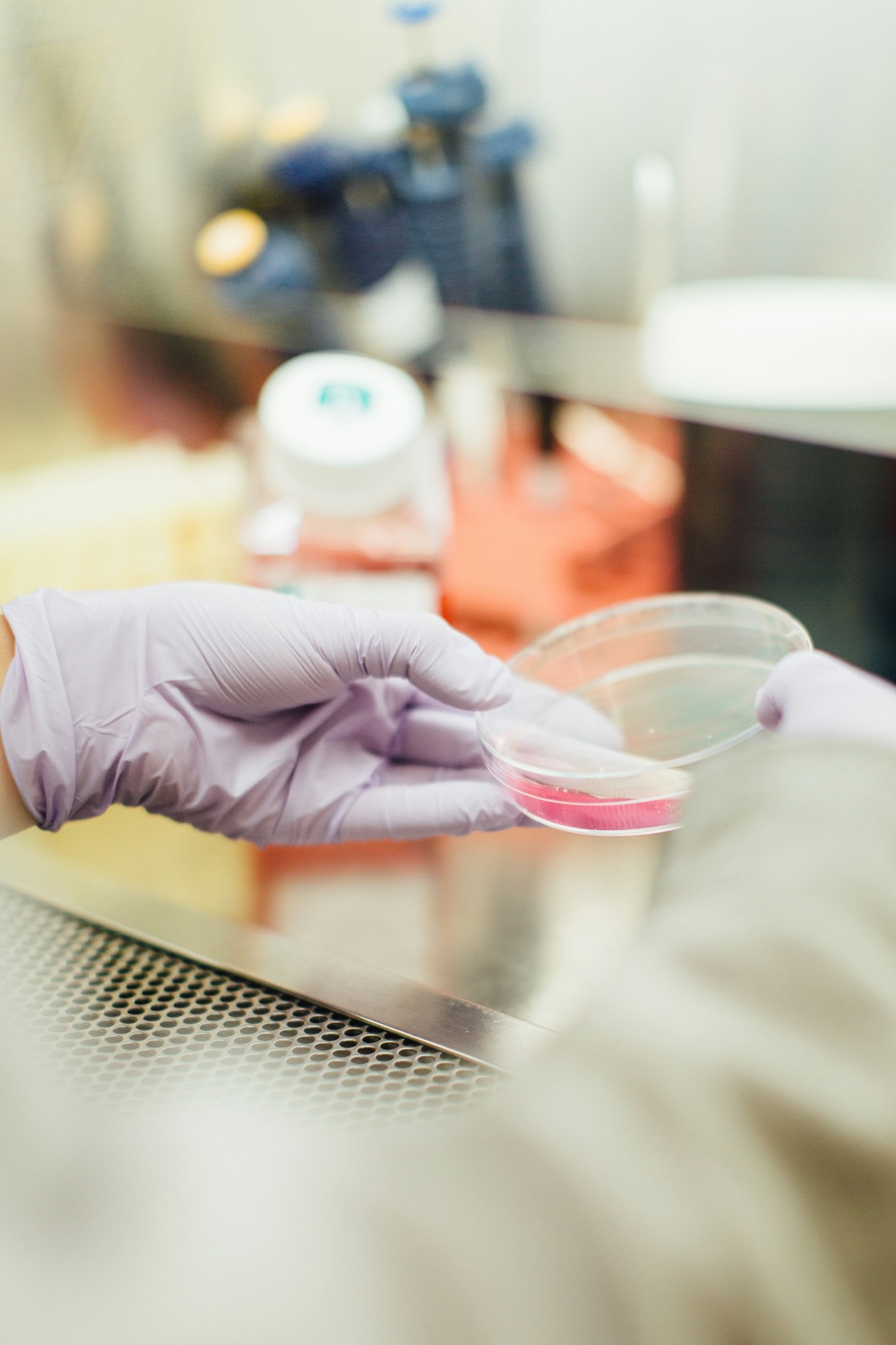 Why Interdisciplinary Collaboration Matters in Biology